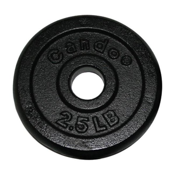 Fabrication Enterprises Fabrication Enterprises 10-0601 Iron Disc Weight Plate; 2.5 Lbs. 10-0601
